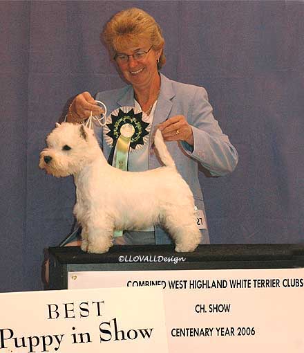 BestPupInShowWeb