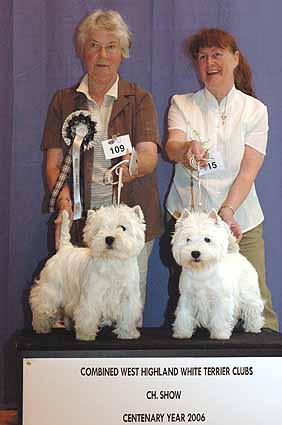 BestVetDogBitchWeb2