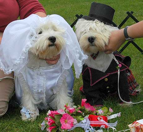 FancyDressWinners2