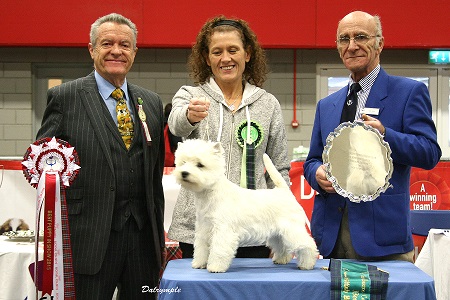 Geordie girl Scottish breeds 2015