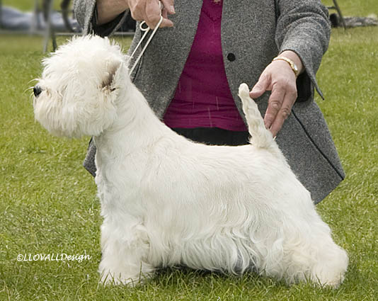 KaramyndTakeABow76Web1