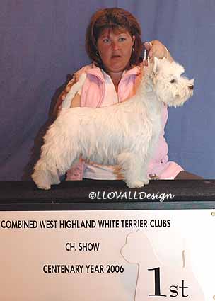 PuppyBitchNo1Web02