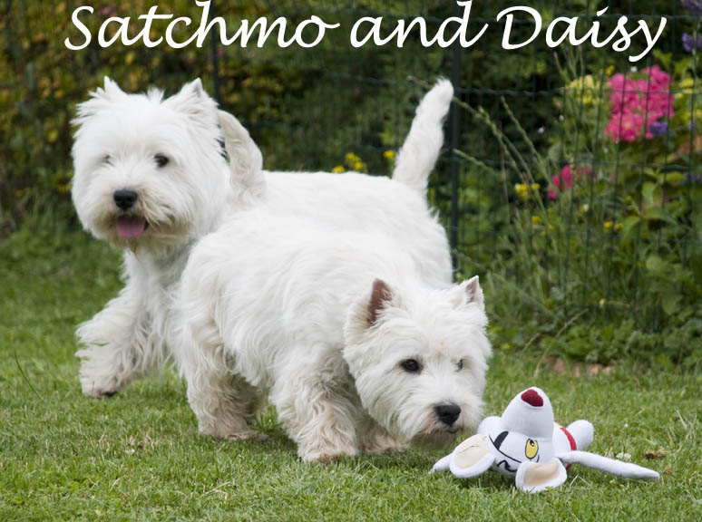 SatchmoAndDaisy