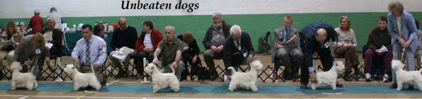 Unbeatendogs1