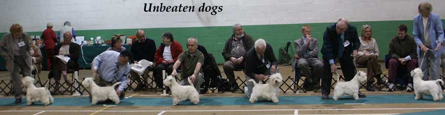 Unbeatendogs2