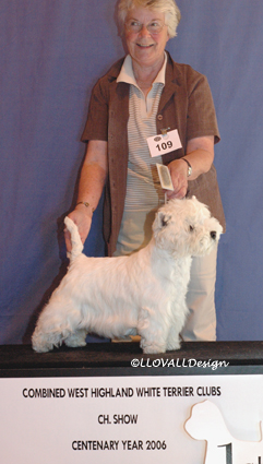 VetDogNo1Web