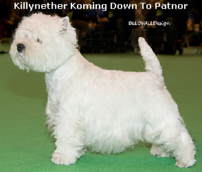 KillynetherKomingDownToPatnorWEb