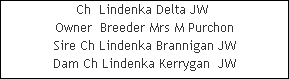 Ch  Lindenka Delta JW 


















Owner  Breeder Mrs M Purchon
















Sire Ch Lindenka Brannigan JW












Dam Ch Lindenka Kerrygan  JW