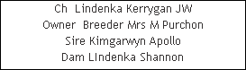 Ch  Lindenka Kerrygan JW





























Owner  Breeder Mrs M Purchon














Sire Kimgarwyn Apollo













Dam LIndenka Shannon