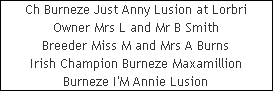 Ch Burneze Just Anny Lusion at Lorbri














Owner Mrs L and Mr B Smith














Breeder Miss M and Mrs A Burns














Irish Champion Burneze Maxamillion














Burneze I'M Annie Lusion