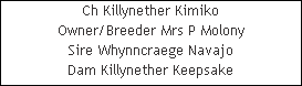 Ch Killynether Kimiko













Owner/Breeder Mrs P Molony













Sire Whynncraege Navajo













Dam Killynether Keepsake