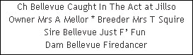 Ch Bellevue Caught In The Act at Jillso


















Owner Mrs A Mellor * Breeder Mrs T Squire


















Sire Bellevue Just F Fun 














Dam Bellevue Firedancer