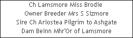 Ch Lamsmore Miss Brodie 











Owner Breeder Mrs S Sizmore











Sire Ch Ariostea Pilgrim to Ashgate











Dam Beinn Mhr'Or of Lamsmore