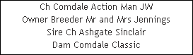 Ch Comdale Action Man JW










Owner Breeder Mr and Mrs Jennings










Sire Ch Ashgate Sinclair










Dam Comdale Classic