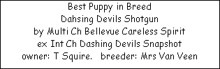 Best Puppy in Breed


























Dahsing Devils Shotgun













by Multi Ch Bellevue Careless Spirit


























ex Int Ch Dashing Devils Snapshot


























owner: T Squire.   breeder: Mrs Van Veen