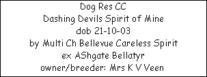 Dog Res CC



















Dashing Devils Spirit of Mine




dob 21-10-03



















by Multi Ch Bellevue Careless Spirit



















ex AShgate Bellatyr



















owner/breeder: Mrs K V Veen