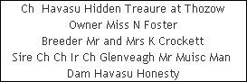 Ch  Havasu Hidden Treaure at Thozow












Owner Miss N Foster












Breeder Mr and Mrs K Crockett












Sire Ch Ch Ir Ch Glenveagh Mr Muisc Man 












Dam Havasu Honesty