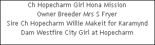 Ch Hopecharm Girl Hona Mission












Owner Breeder Mrs S Fryer












Sire Ch Hopecharm Willie Makeit for Karamynd












Dam Westfire City Girl at Hopecharm