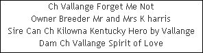 Ch Vallange Forget Me Not











Owner Breeder Mr and Mrs K harris











Sire Can Ch Kilowna Kentucky Hero by Vallange











Dam Ch Vallange Spirit of Love