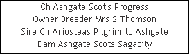 Ch Ashgate Scot's Progress











Owner Breeder Mrs S Thomson











Sire Ch Ariosteas Pilgrim to Ashgate











Dam Ashgate Scots Sagacity