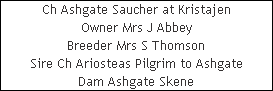 Ch Ashgate Saucher at Kristajen











Owner Mrs J Abbey











Breeder Mrs S Thomson











Sire Ch Ariosteas Pilgrim to Ashgate











Dam Ashgate Skene