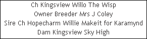 Ch Kingsview Willo The Wisp










Owner Breeder Mrs J Coley










Sire Ch Hopecharm Willie Makeit for Karamynd










Dam Kingsview Sky High