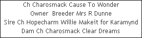 Ch Charosmack Cause To Wonder























Owner  Breeder Mrs R Dunne


Sire Ch Hopecharm Willie Makeit for Karamynd






Dam Ch Charosmack Clear Dreams