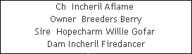 Ch  Incheril Aflame 

























Owner  Breeders Berry
Sire  Hopecharm Willie Gofar 










Dam Incheril Firedancer

























Dam