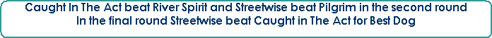 Caught In The Act beat River Spirit and Streetwise beat Pilgrim in the second round













In the final round Streetwise beat Caught in The Act for Best Dog