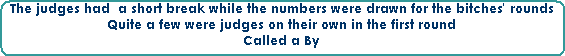 The judges had  a short break while the numbers were drawn for the bitches' rounds













Quite a few were judges on their own in the first round













Called a By