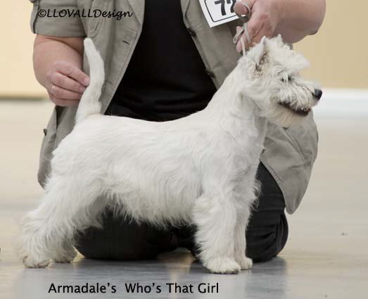 Armadale's Who's That Girl 
